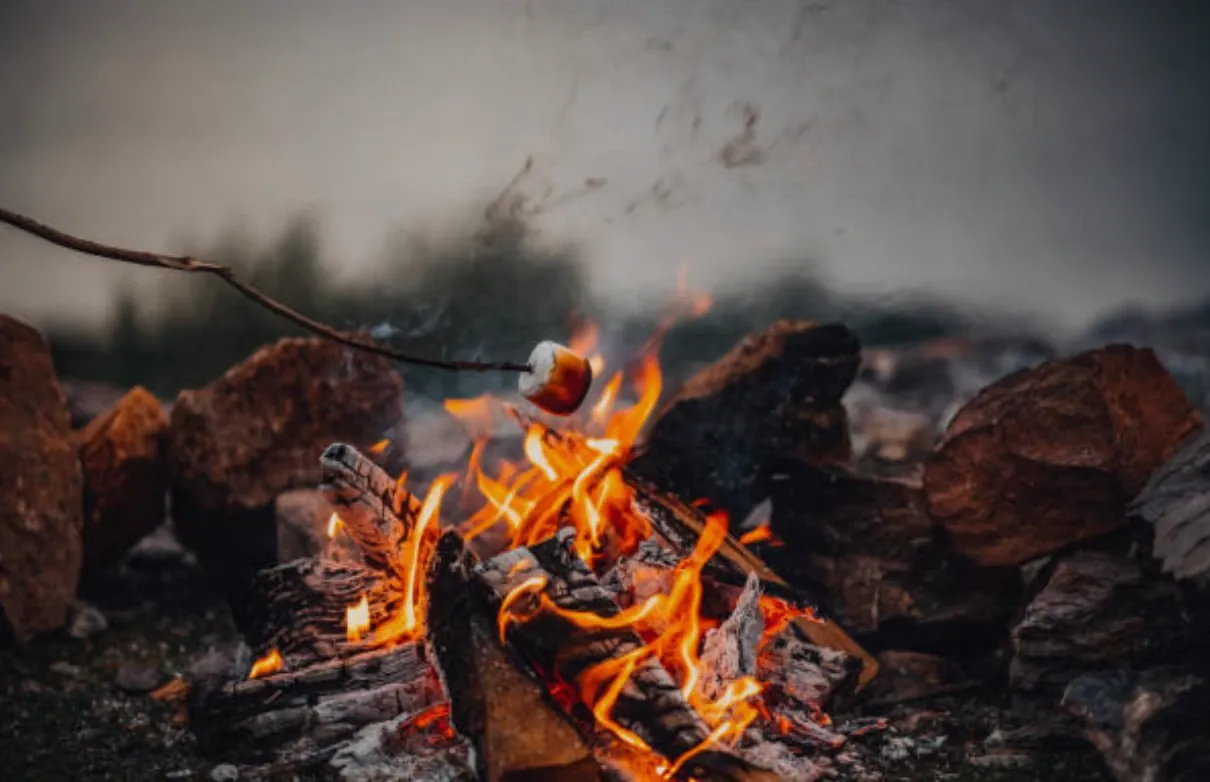 A marshmallow toasting over a campfire in a stone fire ring